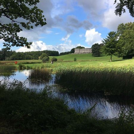 Curraghchase Cottage Kilcornan المظهر الخارجي الصورة