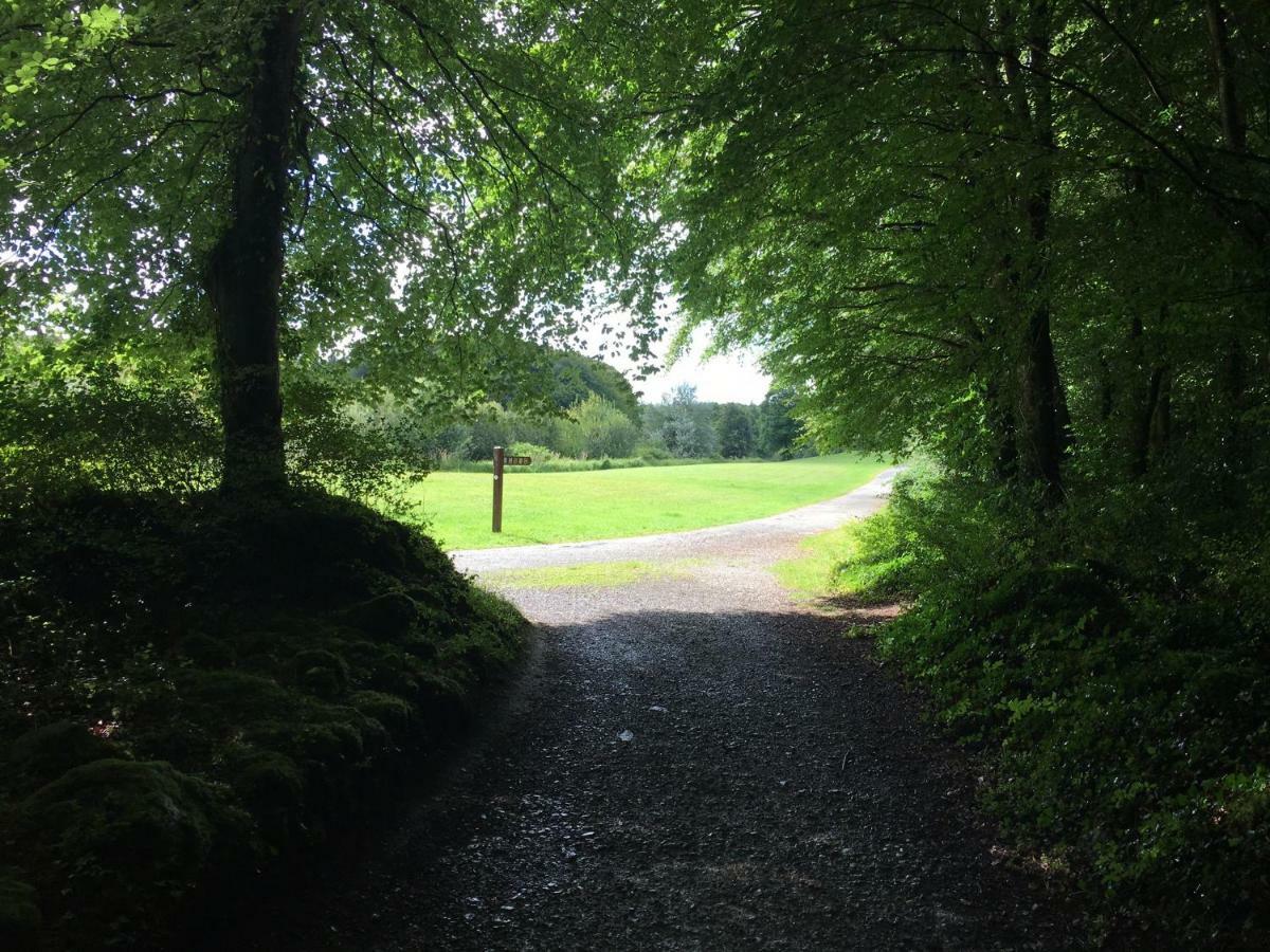 Curraghchase Cottage Kilcornan المظهر الخارجي الصورة