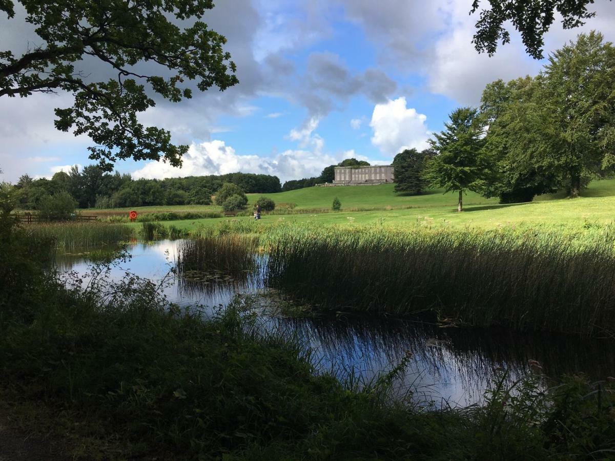 Curraghchase Cottage Kilcornan المظهر الخارجي الصورة